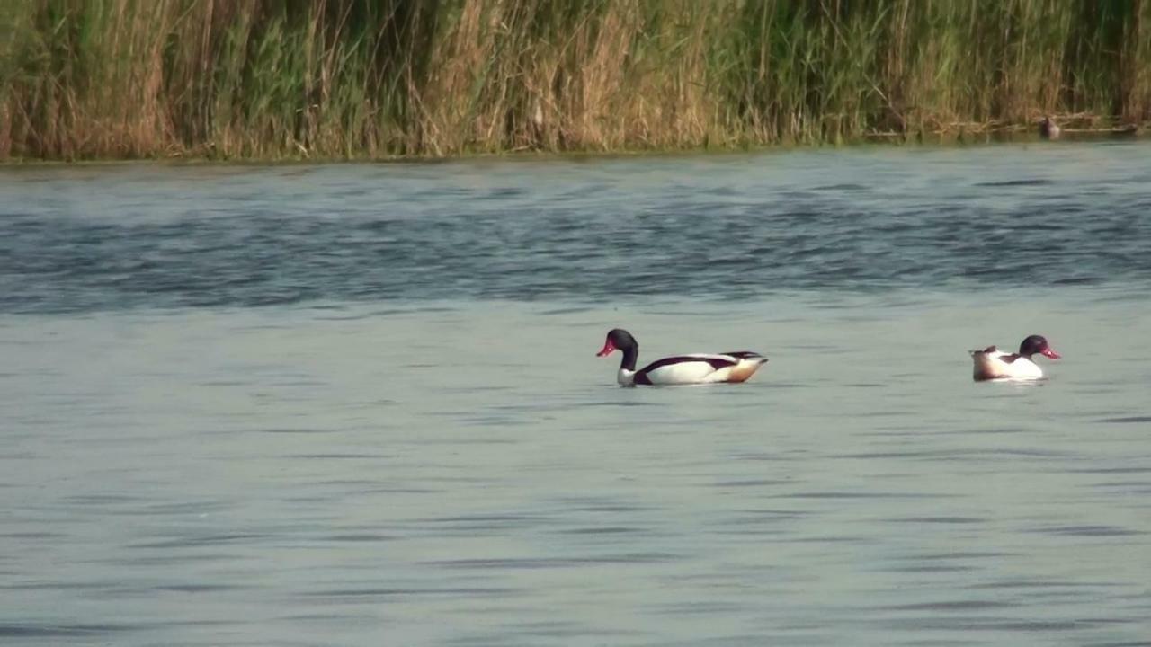 Zacisze Letniskowe Karsibor