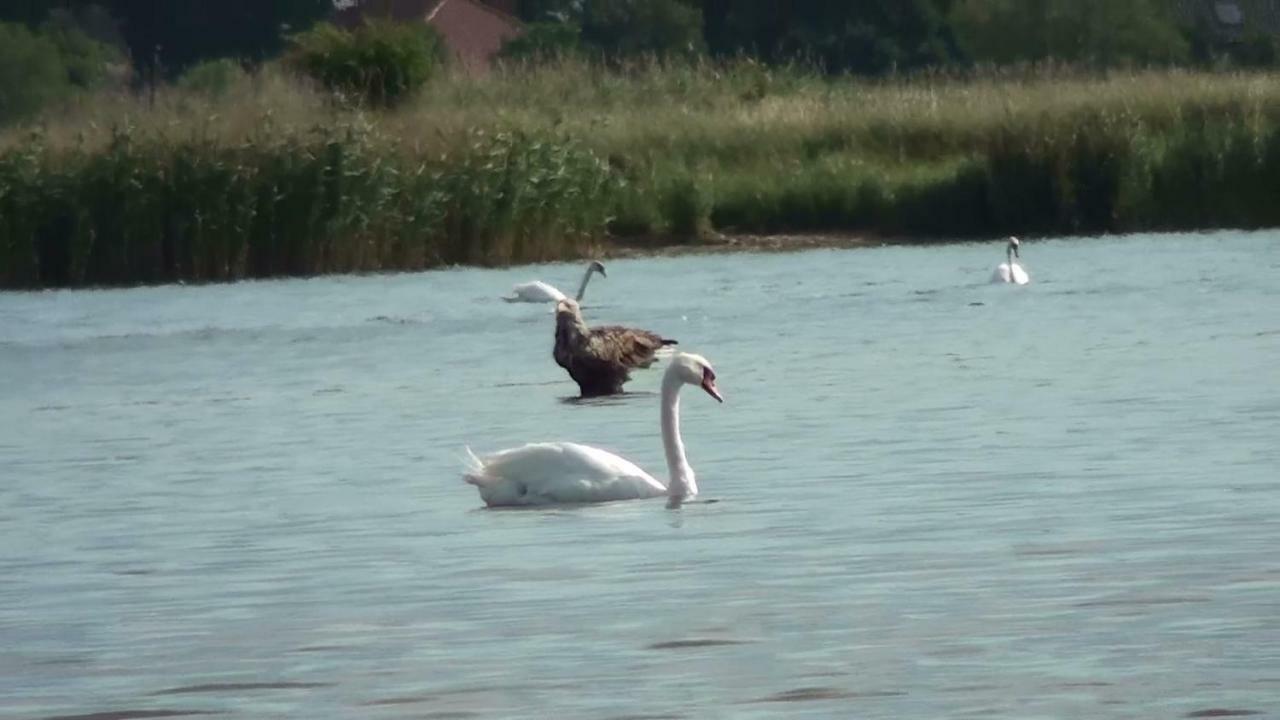 Zacisze Letniskowe Karsibor Lodge