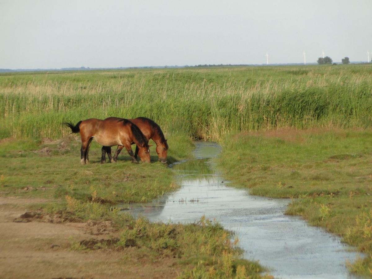 Zacisze Letniskowe Karsibor * Swinemünde